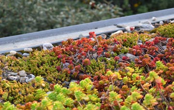the cost of Pen Gilfach green roof installation