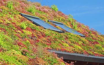 Pen Gilfach living roof systems